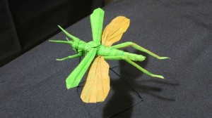 flyinggrasshopper